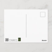 Pollenkrone (Pinus resinosa) Postkarte (Rückseite)