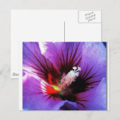 Pollenneuauflage Postkarte (Vorne/Hinten)