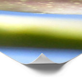 Pollenplakat Poster (Ecke)