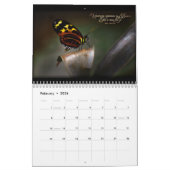 Pollinator-Kalender Kalender (Feb 2026)