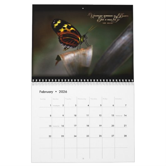 Pollinator-Kalender Kalender (Feb 2026)