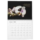Pollinator-Kalender Kalender (Jan 2026)