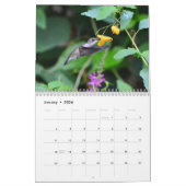 Pollinator-Kalender Kalender (Jan 2026)