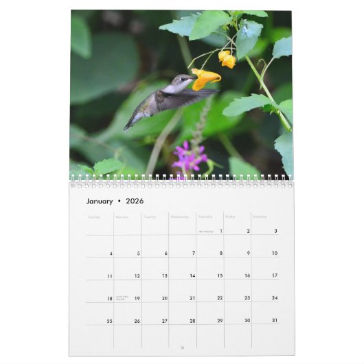 Pollinator-Kalender Kalender (Jan 2026)