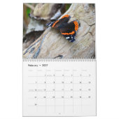 Pollinator-Kalender Kalender (Feb 2027)