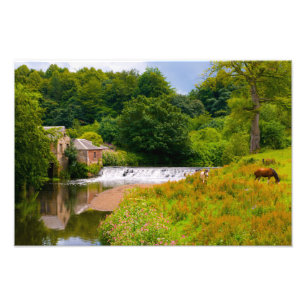 Pollok Park, Glasgow Foto print