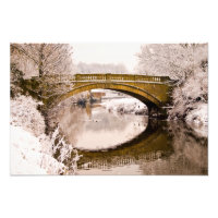 Pollok Park, Glasgow Foto print