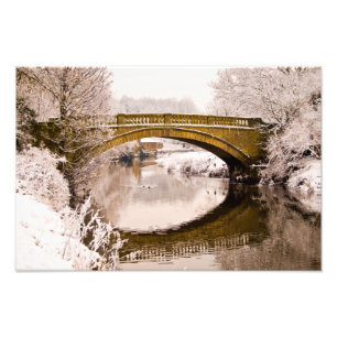 Pollok Park, Glasgow Foto print