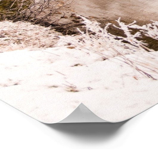 Pollok Park, Glasgow Poster (Ecke)