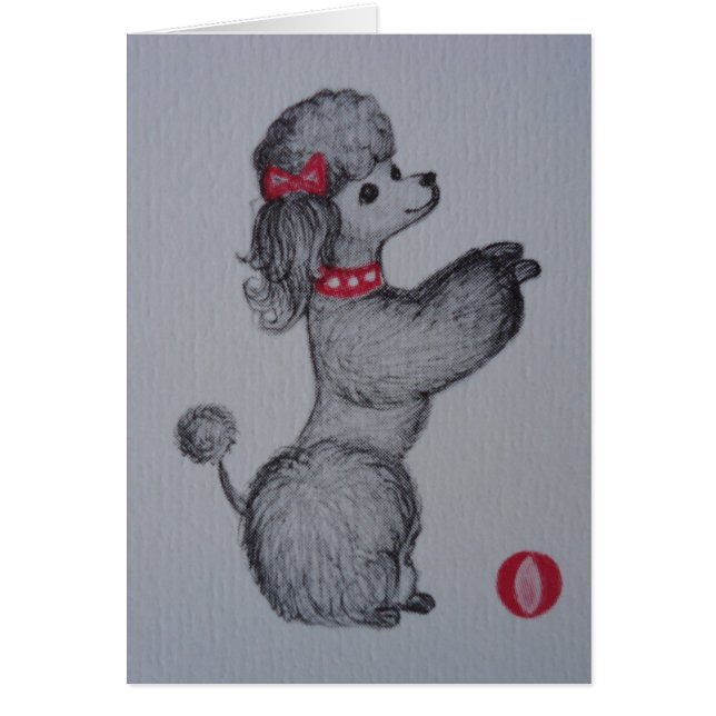 Polly der Pudel (Vorne)