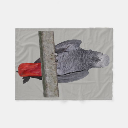 Polly Fleece Blanket (grau) (Vorderseite (Horizontal))