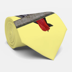 Polly Krawatte Double Sided Color (Gelb)