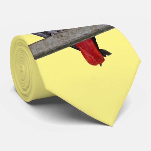 Polly Krawatte Double Sided Color (Gelb) (Gerollt)