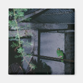 Polly Local Green Parrot Honduras Magnet (Vorne)