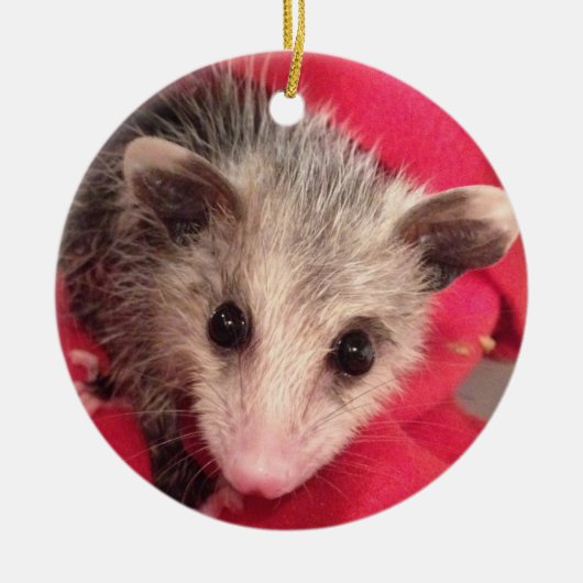 Polly Niedlich Baby Possum Keramik Ornament (Vorne)