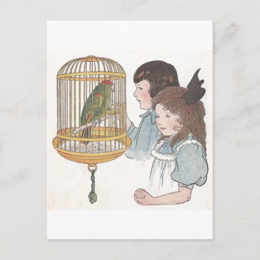 Polly the Parrot Postkarte (Vorderseite)