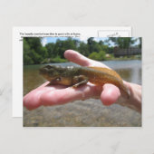 Pollywog Postkarte (Vorne/Hinten)