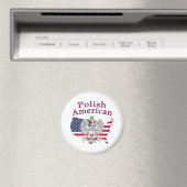 Polnisch-Amerikanische Karte Magnet (In Situ (Geschirrspüler))