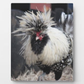 Polnisch Created Rooster Fotoplatte (Vorderseite)