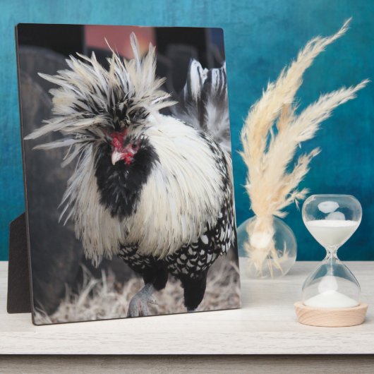 Polnisch Created Rooster Fotoplatte (Seite)