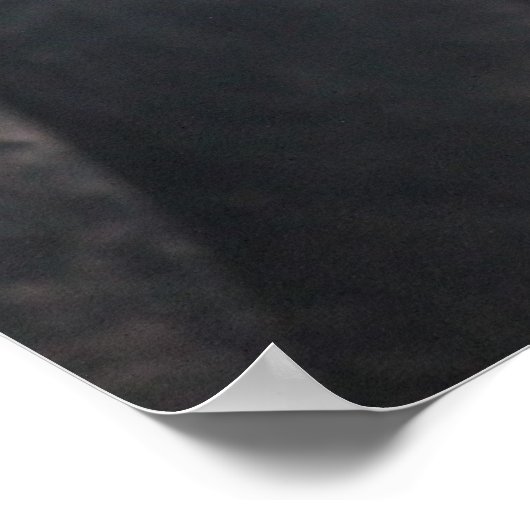 Polnisch Created Rooster Poster (Ecke)