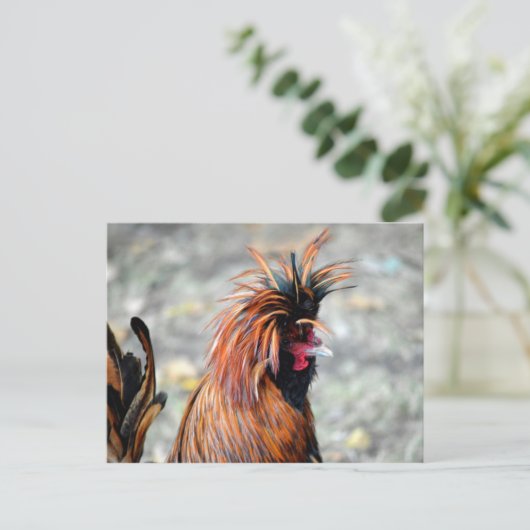 Polnisch Created Rooster Postkarte (Stehend Vorderseite)