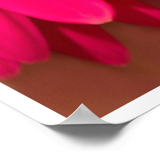 Polnisch Die Posh Wände Poster (Ecke)