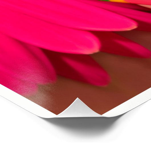 Polnisch Die Posh Wände Poster (Ecke)