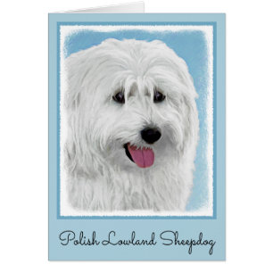 Polnisch Lowland Sheepdog Painting - Hundekunst