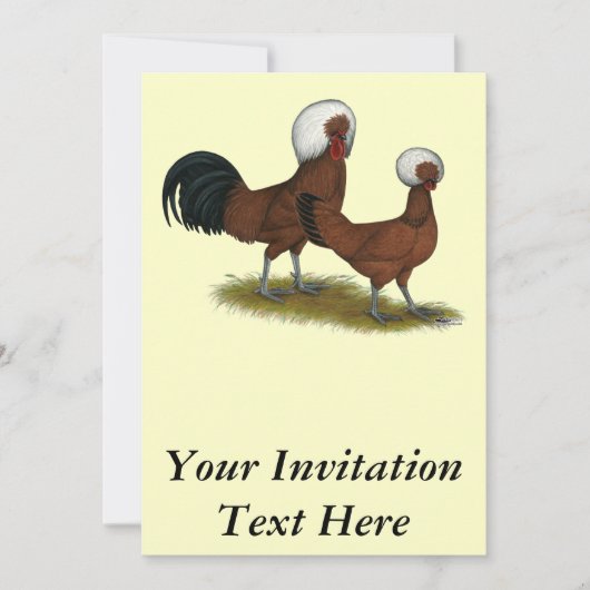 Polnisch: White Crested Reds Einladung (Vorderseite)