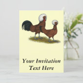 Polnisch: White Crested Reds Einladung (Stehend Vorderseite)