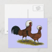 Polnisch: White Crested Reds Postkarte (Vorne/Hinten)