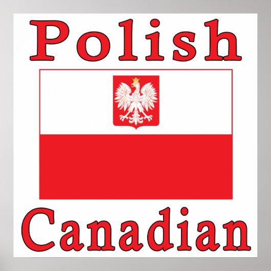 Polnische Falkenflagge Poster (Vorne)