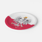 Polnische Flagge & Adler, polnische Party-Patriote Pappteller (Schrägansicht)