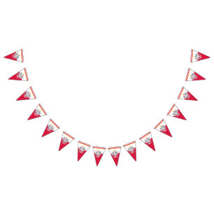 Polnische Flagge & Party Polen Adlerbücher / Hochz