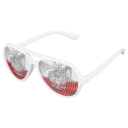 polnische Flagge Partybrille (Schrägansicht)