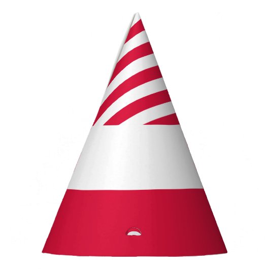 Polnische Flagge Partyhütchen (Links)