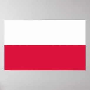 Polnische Flagge (Polen) Poster