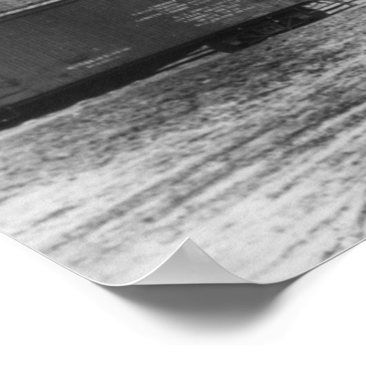 Polnische Frühjahrsbahn Poster (Ecke)