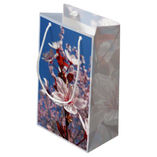 Polnische Frühlingsblüte, kleine Geschenktasche Geschenktüte