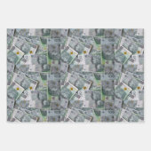 Polnische Geldmünzen verpacken Papierblätter Geschenkpapier Set (Vorderseite 3)