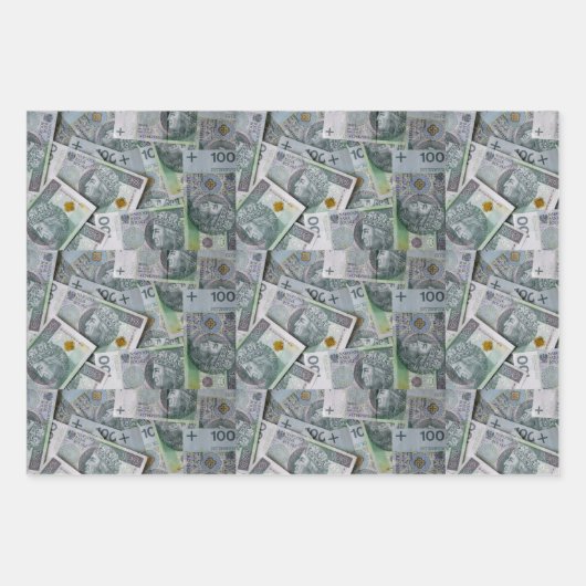 Polnische Geldmünzen verpacken Papierblätter Geschenkpapier Set (Vorderseite 3)