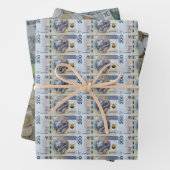 Polnische Geldmünzen verpacken Papierblätter Geschenkpapier Set (Beispiel)