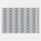 Polnische Geldmünzen verpacken Papierblätter Geschenkpapier Set (Vorderseite)