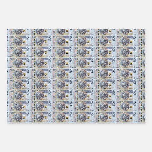 Polnische Geldmünzen verpacken Papierblätter Geschenkpapier Set (Vorderseite)