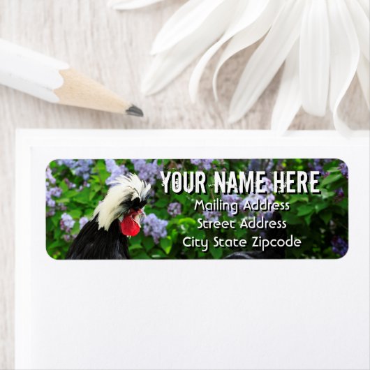 Polnische Rooster Spring Garden-Adresse (Insitu)