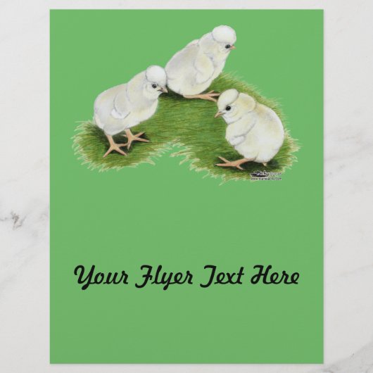 Polnische Splash Chips Flyer (Vorne)