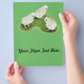 Polnische Splash Chips Flyer (Hand)