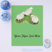 Polnische Splash Chips Flyer (Einzeln)