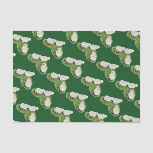 Polnische Splash Chips Seidenpapier (Vorderseite)